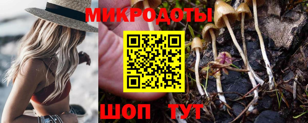 Десногорск  Галлюциногенные грибы мухоморы  Вход с VPN 