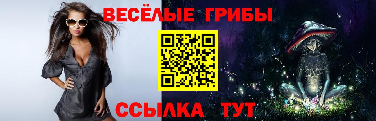 Псилоцибиновые грибы Magic Shrooms Десногорск